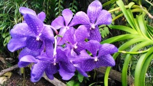 P_20161014_171748_LL