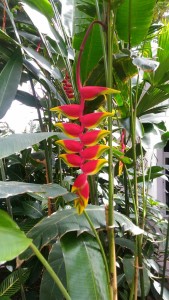 P_20180507_114512 Light