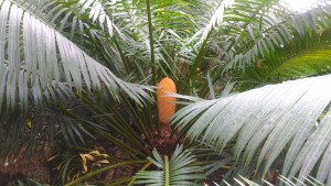 P_20180502_162624 Light